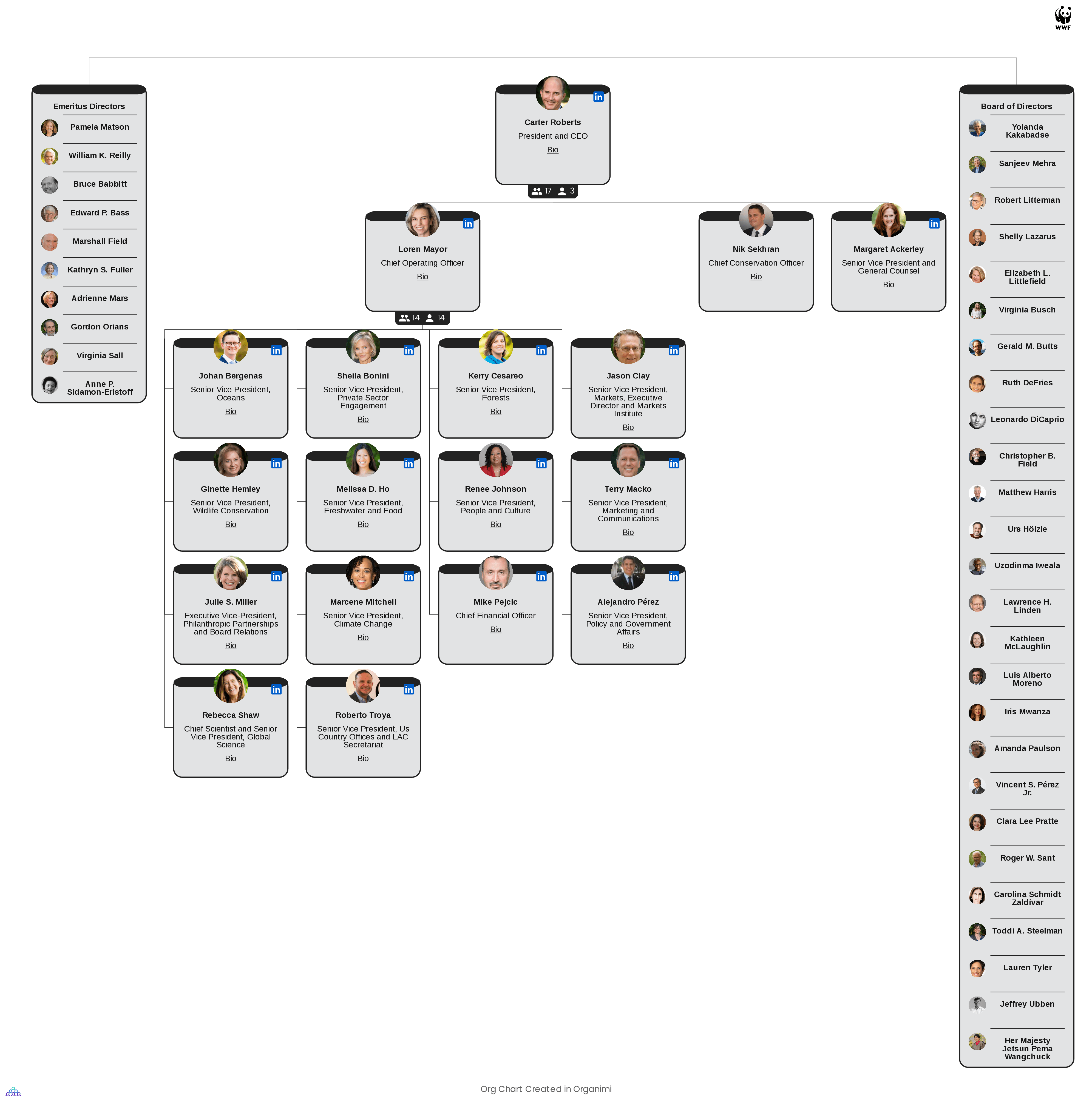 World Wildlife Fund's Organizational Structure Chart