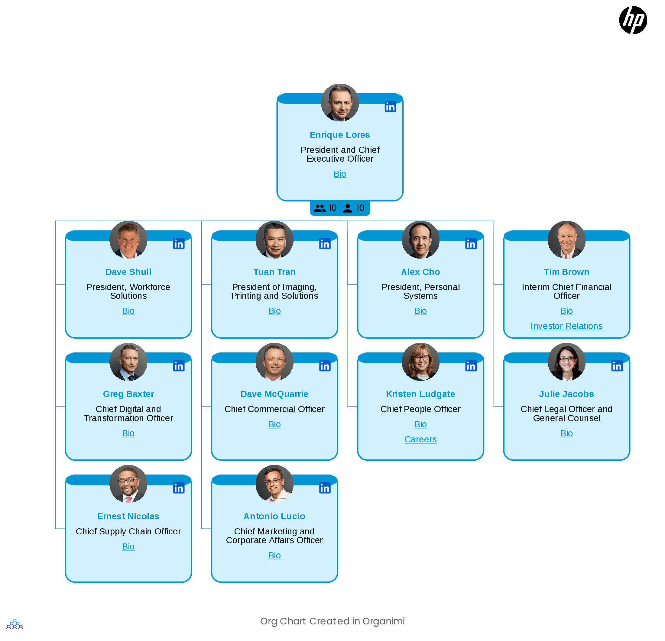 HP's Organizational Structure Chart