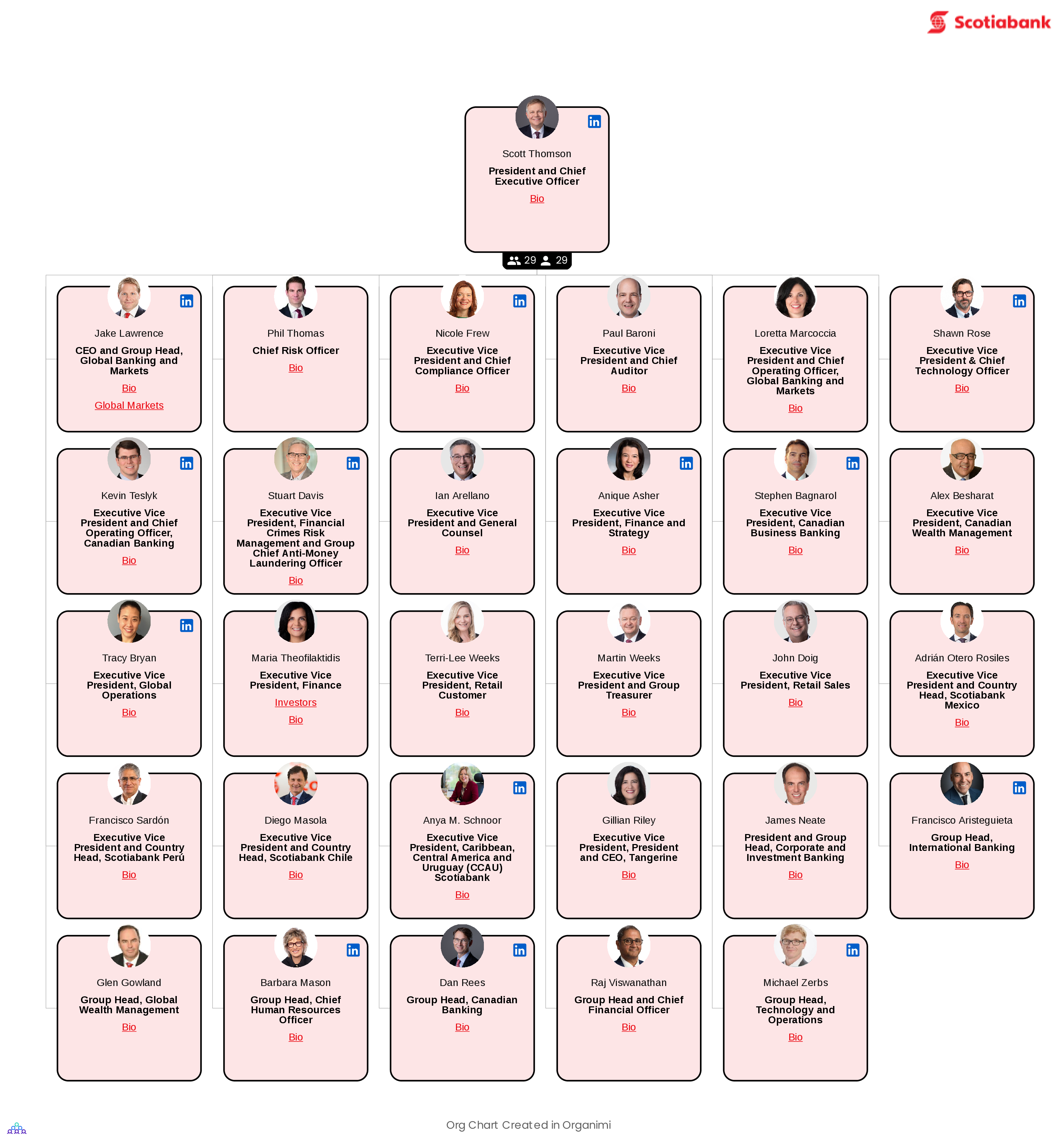 Scotiabank's Organizational Structure Chart