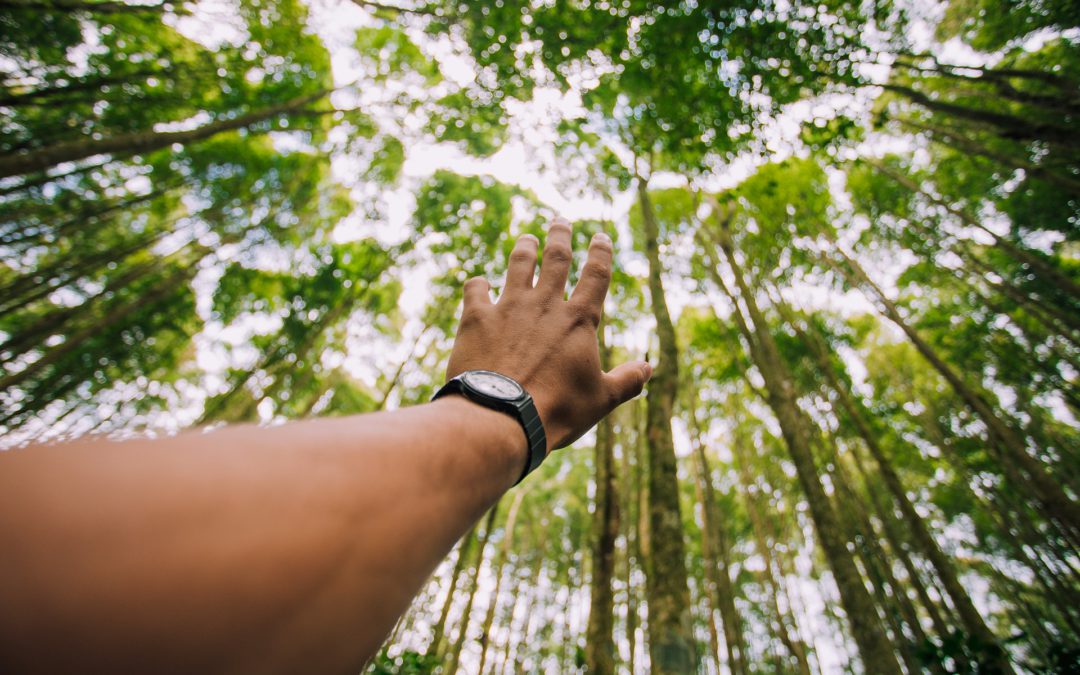 Nonprofit Organizational Structure – Examples, Steps, & More