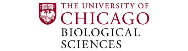University of Chicago Logo