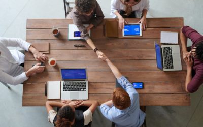 Digital Agency Organizational Structure – How It Works & Examples