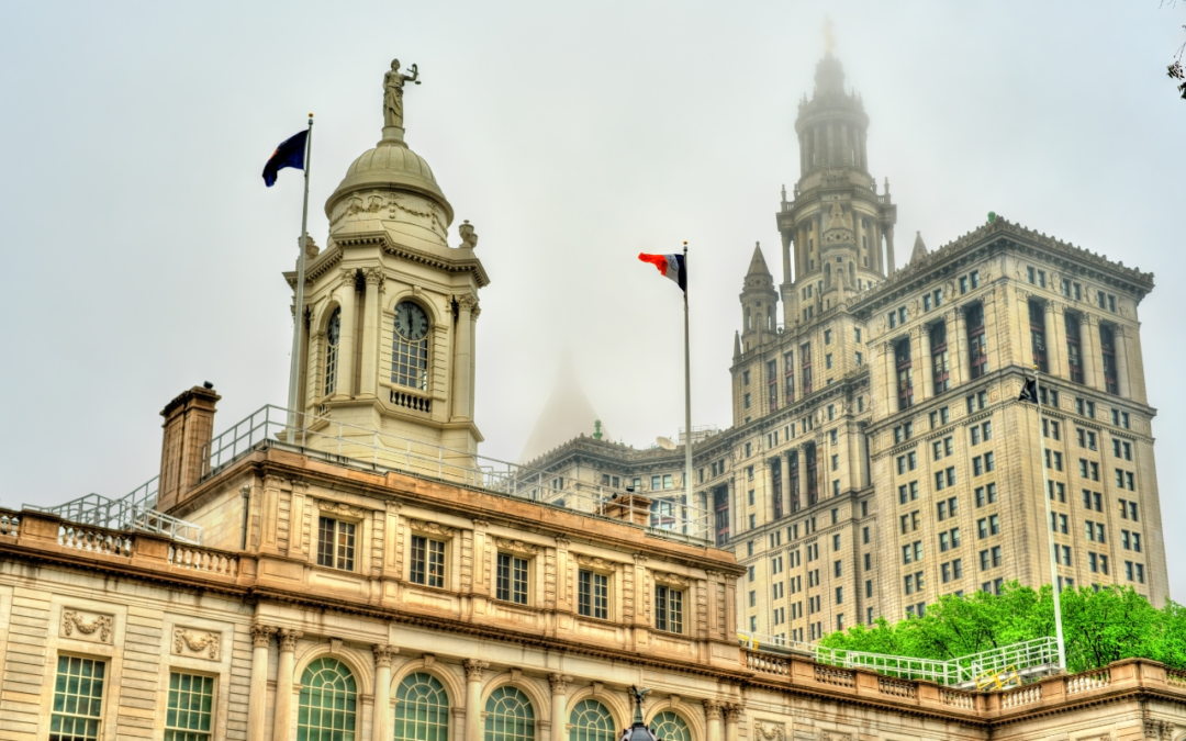 Municipal Government Organizational Structure – How to Create One