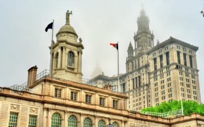 Municipal Government Organizational Structure – How to Create One