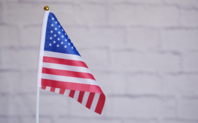 U.S. Government Organizational Chart – How to Create One