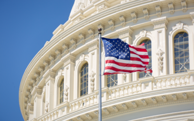 U.S. Government Organizational Structure – How to Create One