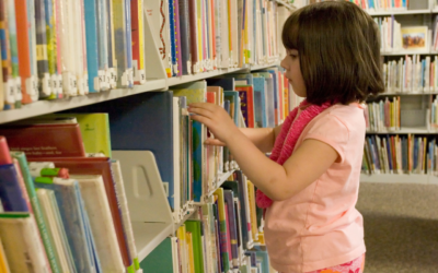 Public Library Organizational Structure – How to Create One