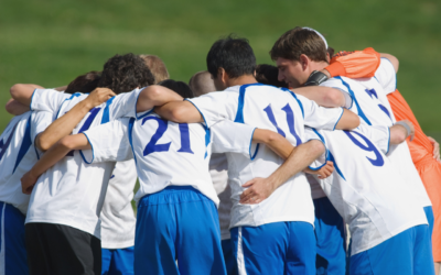 Sports Team Organizational Chart Template – How to Create One