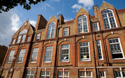 Private School Organizational Structure – How to Create & Template