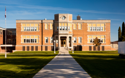 Public School Organizational Structure – How to Create & Template